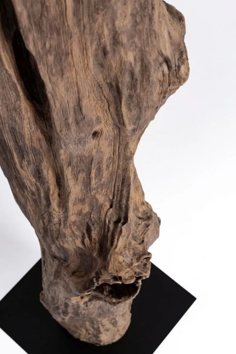 Sale Bizzotto PIANTANA KLETA NERO H180