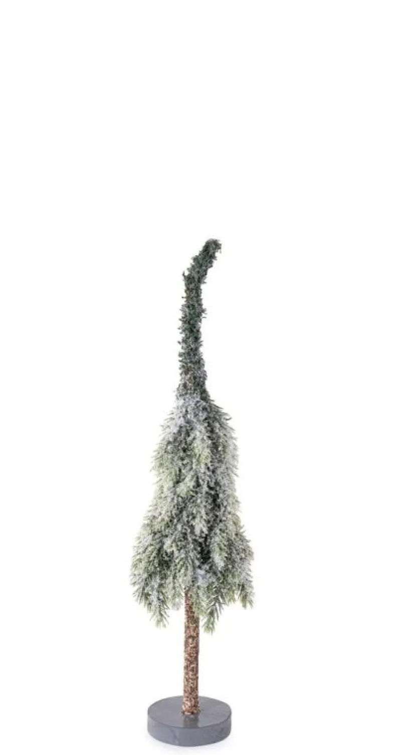 Best Bizzotto PINO MANSFIELD GHIACCIATO H35