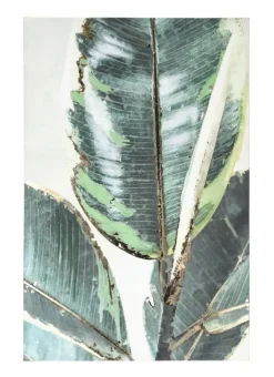 New Bizzotto QUADRO BOLD F69 80X120