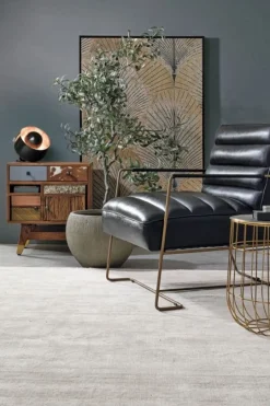 Best Bizzotto QUADRO C-C BOLD 25583 82X122