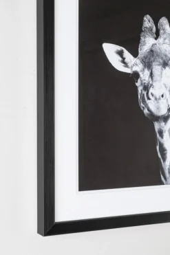 Hot Bizzotto QUADRO C-C EVIDENCE 107 49X49