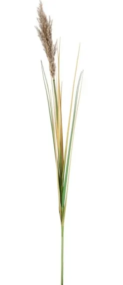 New Bizzotto RAMO GYNERIUM PAMPAS H110