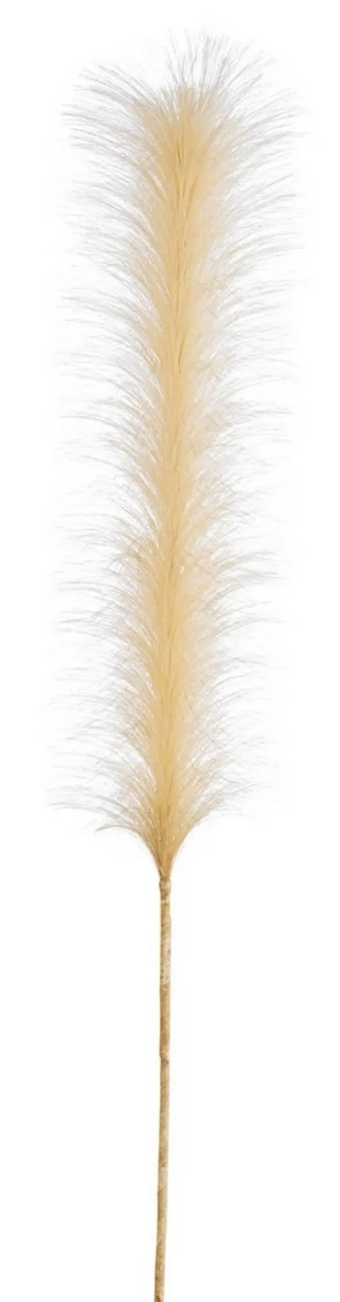 Sale Bizzotto RAMO INFINITY PIUME GIALLO H90CM