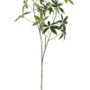 Clearance Bizzotto RAMO PACHIRA JAMAR VERDE H107CM