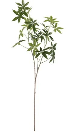 Clearance Bizzotto RAMO PACHIRA JAMAR VERDE H107CM