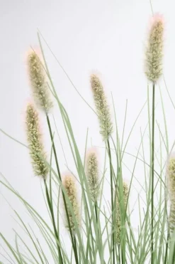 Outlet Bizzotto RAMO PENNISETUM H100