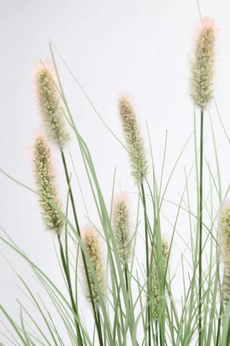 Outlet Bizzotto RAMO PENNISETUM H100