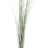 Discount Bizzotto RAMO PENNISETUM H150