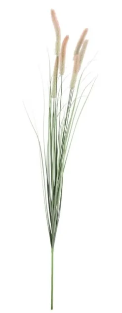 Discount Bizzotto RAMO PENNISETUM H150