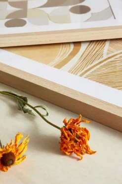 Best Bizzotto SET2 QUADRO C-C SHERLEY 631 40X60