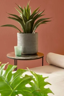 Discount Bizzotto SET4 VASO TRESSAGE CIL ANTRACITE