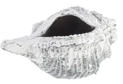 Hot Bizzotto VASO CONCHIGLIA MAGNESIA 68X38